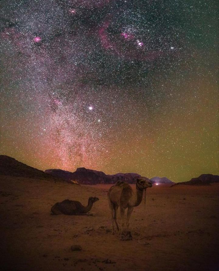 Bubble Tent & Luxury Camp Hotel Wadi Rum Exterior photo